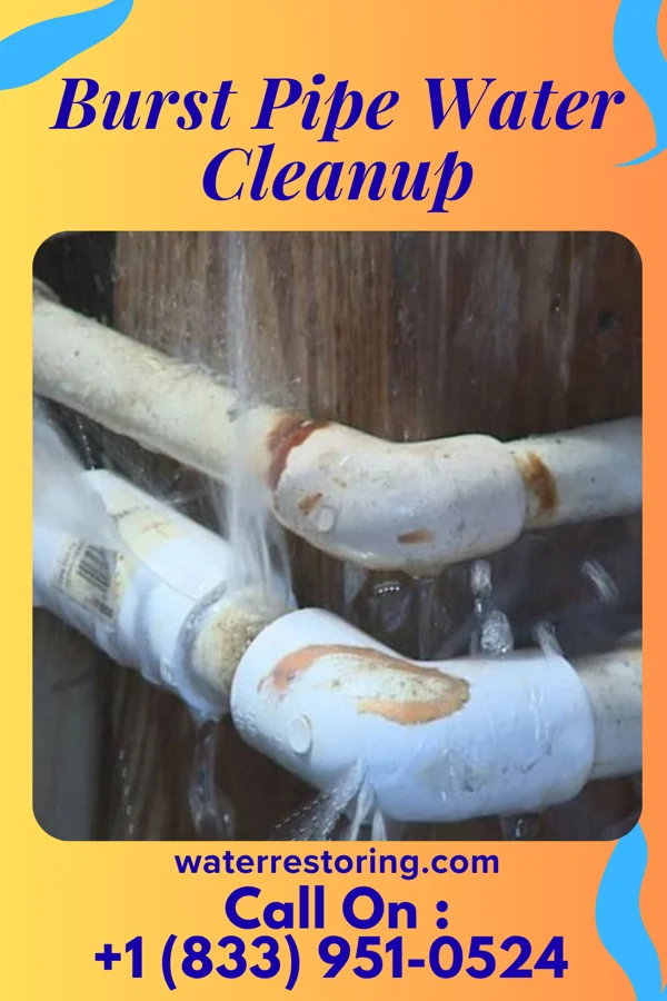 Burst Pipe Water Cleanup in Glacier, WA