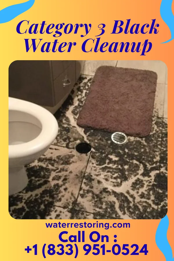 Category 3 Black Water Cleanup in Glacier, WA