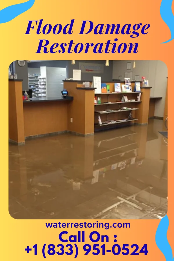 Flood Damage Restoration in Glacier, WA