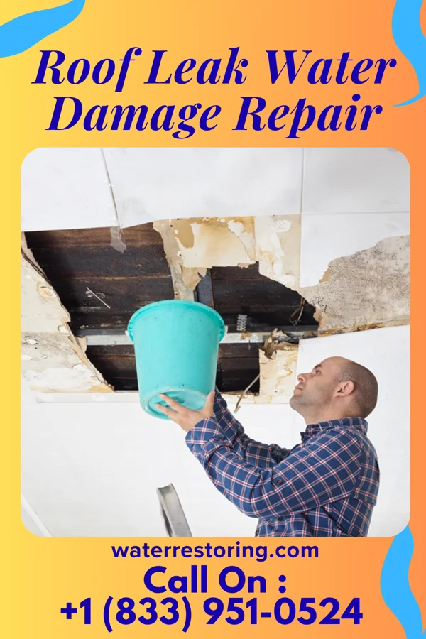 Roof Leak Water Damage Repair in Glacier, WA