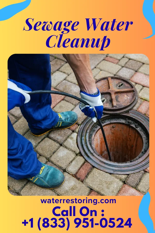 Sewage Water Cleanup in Glacier, WA